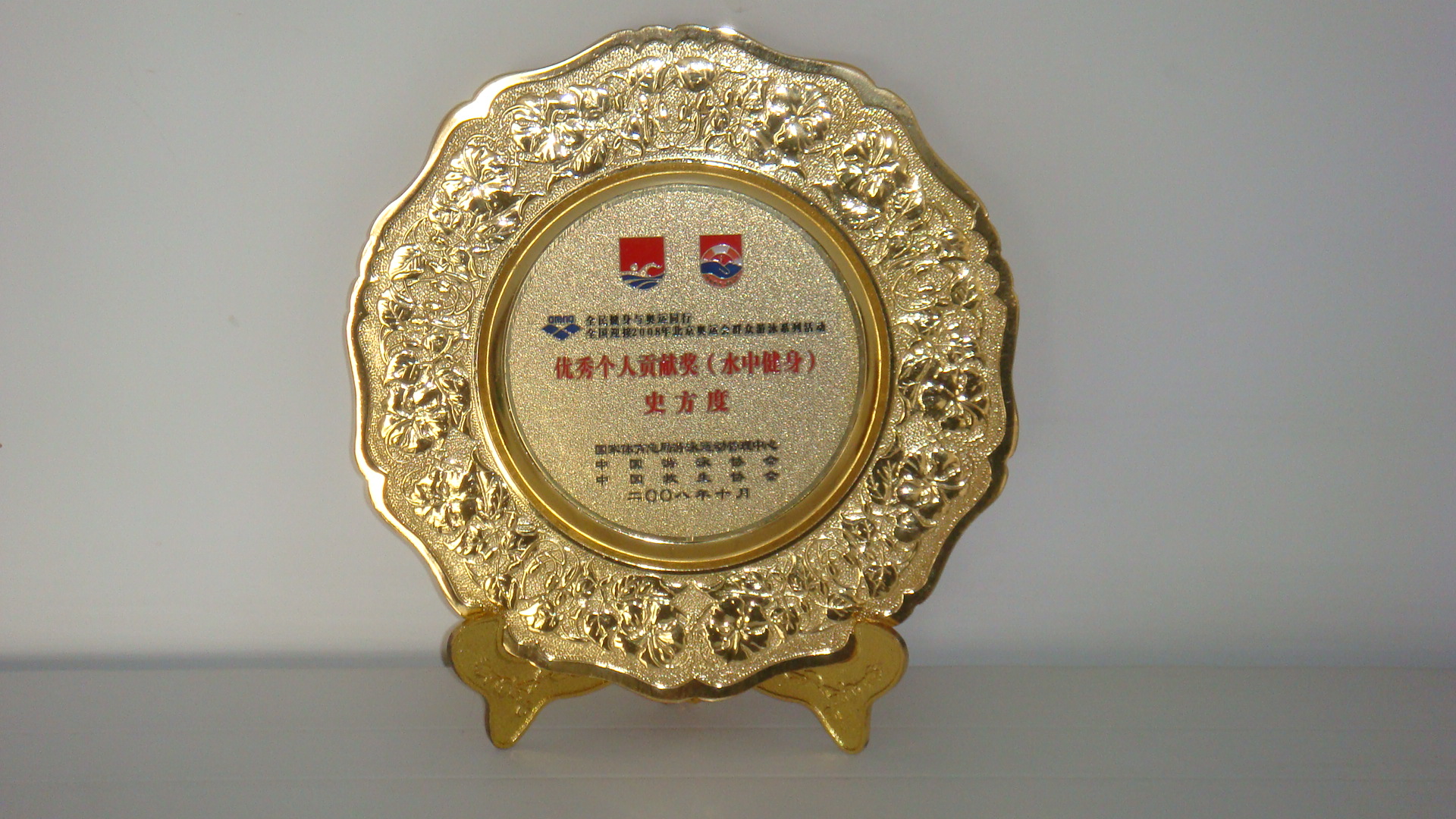 2008优秀个人贡献奖.JPG